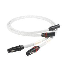 Chord Sarum T XLR - 1m