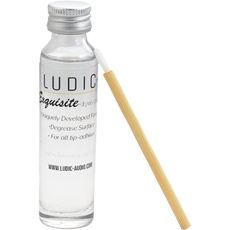 Ludic Exquisite stylus cleaner
