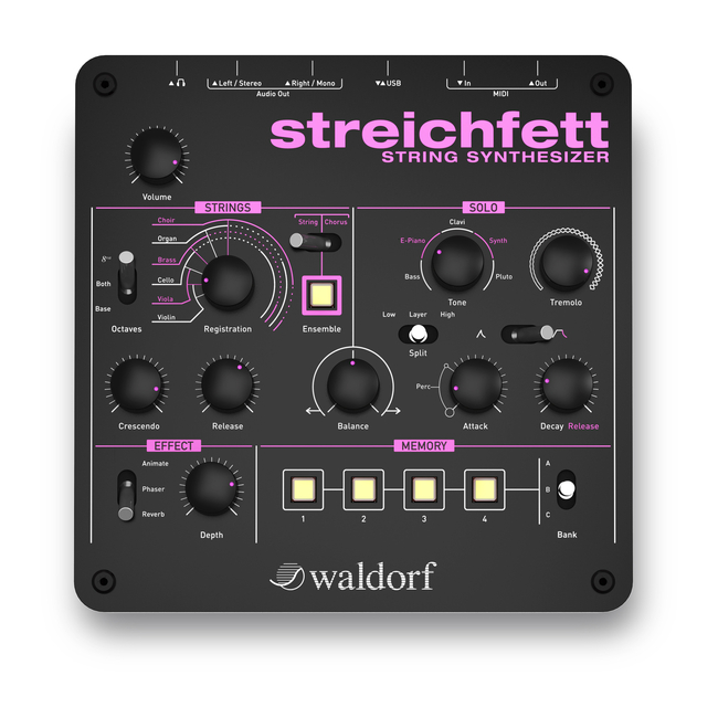 Waldorf Streichfett String